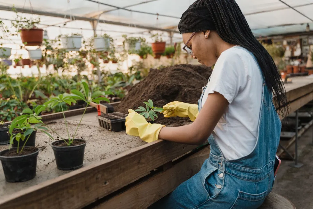 Thoughtful Tools for New Growth